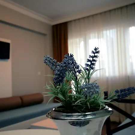 Two Seas Hotel 2*